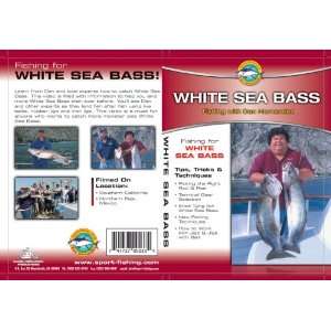    Sport Fishing with Dan Hernandez White Sea Bass