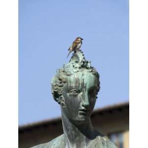  Statue of Neptune on the Piazza Della Signoria, Florence 