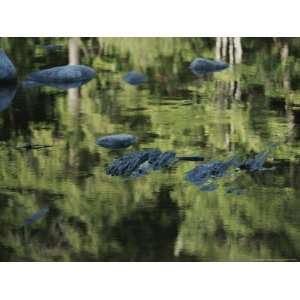  Stepping Stones Reflected in the Mersey River Photographic 