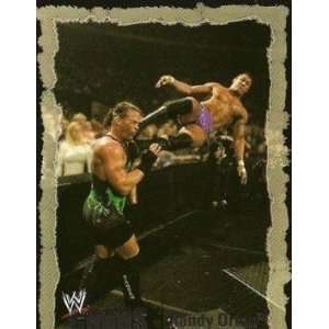  2004 Fleer WWE Chaos #64 Randy Orton