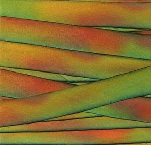 Earth Silk Hand Dyed Variegated Bias Cut Ribbon 5/8 x 3 yds Orange 