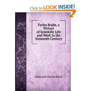  Tycho Brahe, a Picture of Scientific Life and Work in the 
