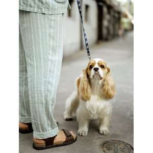Man Wearing Pajamas Walks His Dog Down a Quiet Ally in Shanghai 
