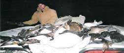 virginia waterfowl hunting expeditions founded by a chincoteague 