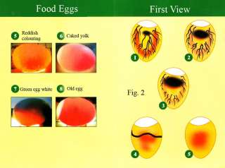 Egg tester   (Ovoscope) for Incubator  