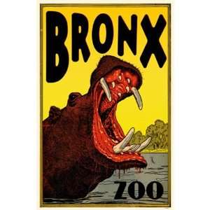  Bronx Zoo, Hippo Poster