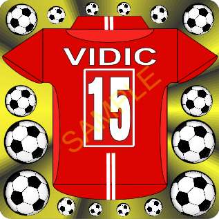 NEW VIDIC 15 FOOTBALL SHIRT LIGHT SWITCH COVER/STICKER  