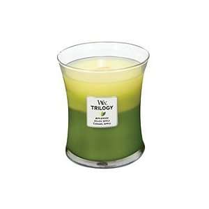  WoodWick Trilogy Apple Orchard Candle (Quantity of 2 