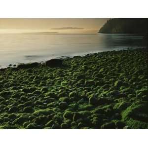 com Stone beach at low tide, Orcas Island, Washington, USA Landscape 