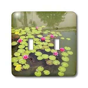 com Patricia Sanders Photography   Lily Pads with Pink Lotus Flowers 