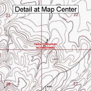  USGS Topographic Quadrangle Map   Flying W Mountain, New 