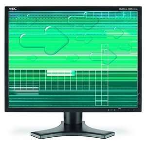 NEW NEC Display MultiSync LCD2190UXp BK LCD Monitor with 