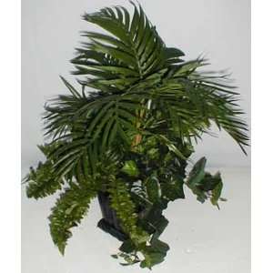    Mixed Palm, Selloum Philodendron & Fern Arrangement