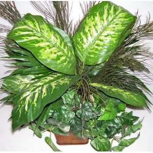  820394   Mixed Greenery Arrangement w/ Deiffenbachia