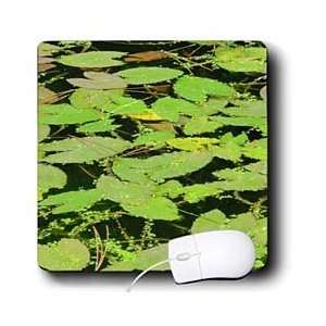  Florene Plants   Lily Pad Green   Mouse Pads Electronics