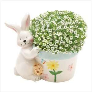  Bunny Hug Planter Toys & Games