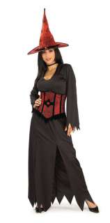 ADULT FASHION WITCH HALLOWEEN COSTUME STANDARD SIZE  