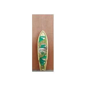 The Longboard Store   Sector 9 34.25 Bamboo Snapper Deck  