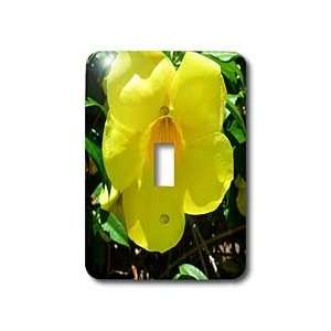 Florene Flower   Lemoncup   Light Switch Covers   single toggle switch