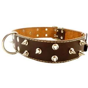  Real Leather Brown Spiked Dog Collar Spikes, 1.85 Wide 