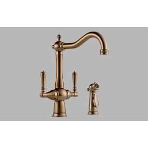   Faucet With Spray   Brushed Bronze Brilliance Finish