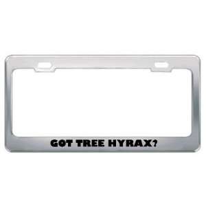 Got Tree Hyrax? Animals Pets Metal License Plate Frame Holder Border 