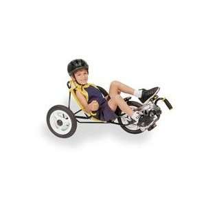  Mini Recumbent Trike