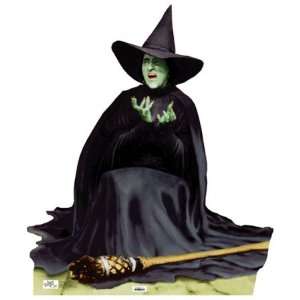    Wicked Witch Melting   Wizard of Oz , 21x24